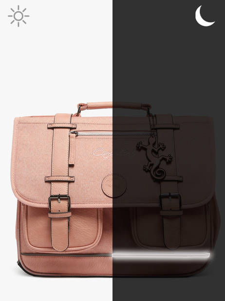 Satchel 2 Compartments Cameleon Pink vintage color CA38 other view 7