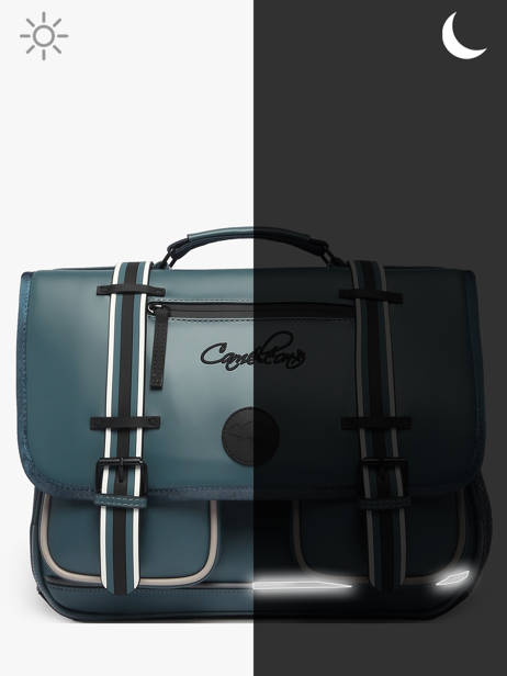 Vintage North Satchel Cameleon Blue vintage north CA38 other view 8