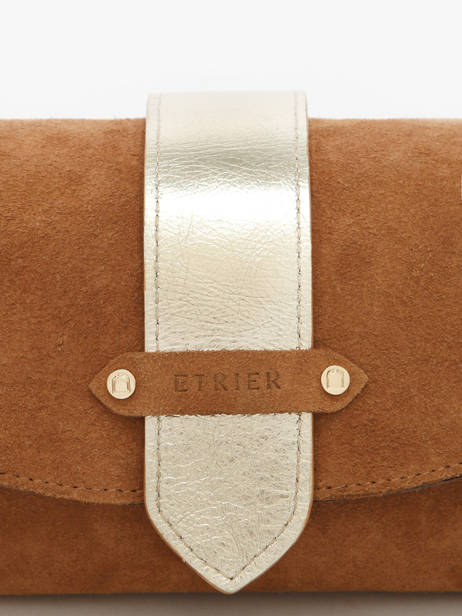 Shoulder Bag S Agnes Suede Leather Etrier Brown agnes EAGV205S other view 3