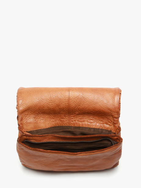 Sac Bandoulière Heritage Cuir Biba Marron heritage KA27 vue secondaire 3